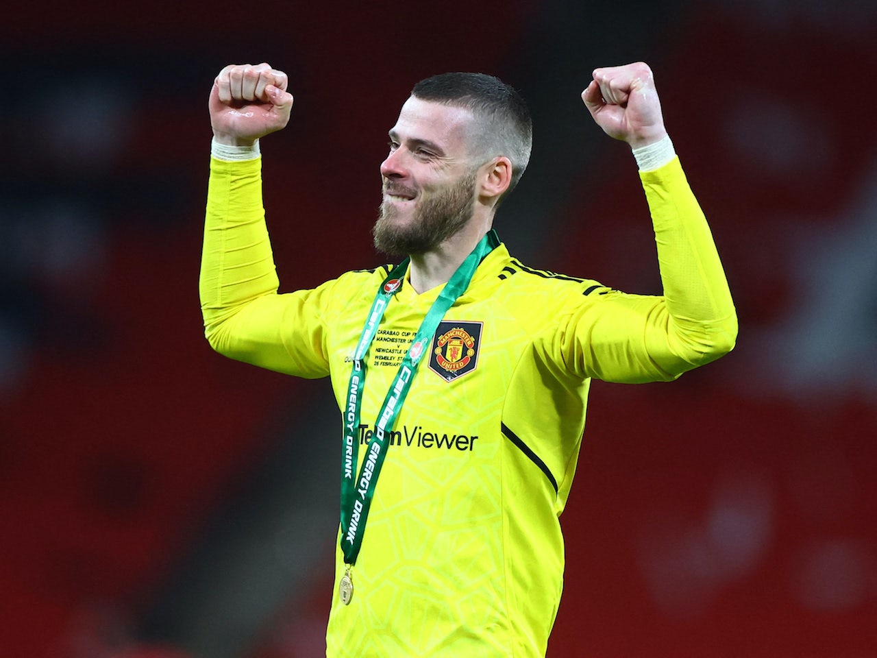 david-de-gea.jpg