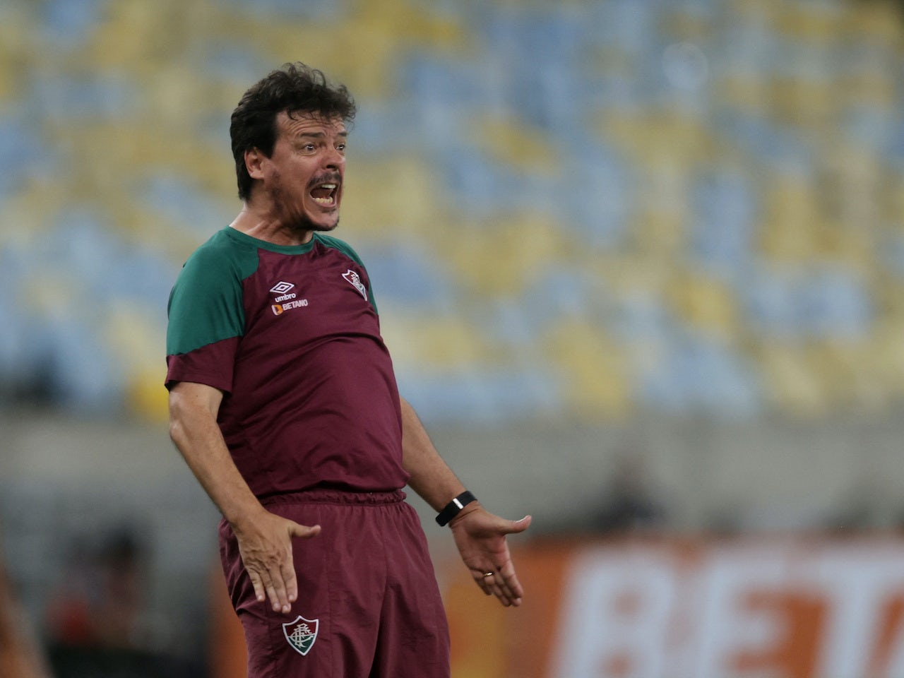 fernando-diniz.jpg