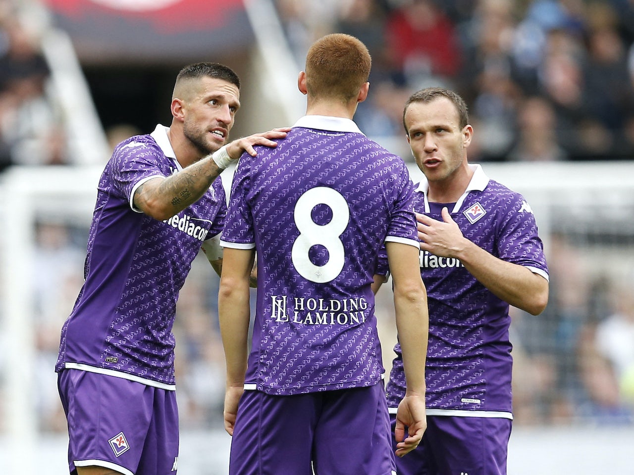 fiorentina.jpg