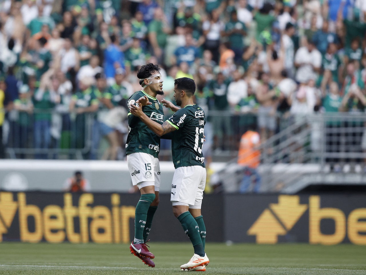 palmeiras.jpg