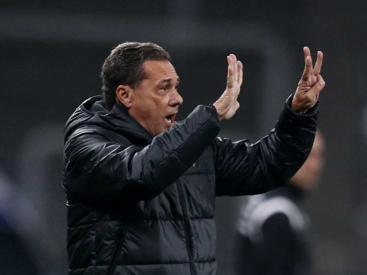 vanderlei-luxemburgo.jpg