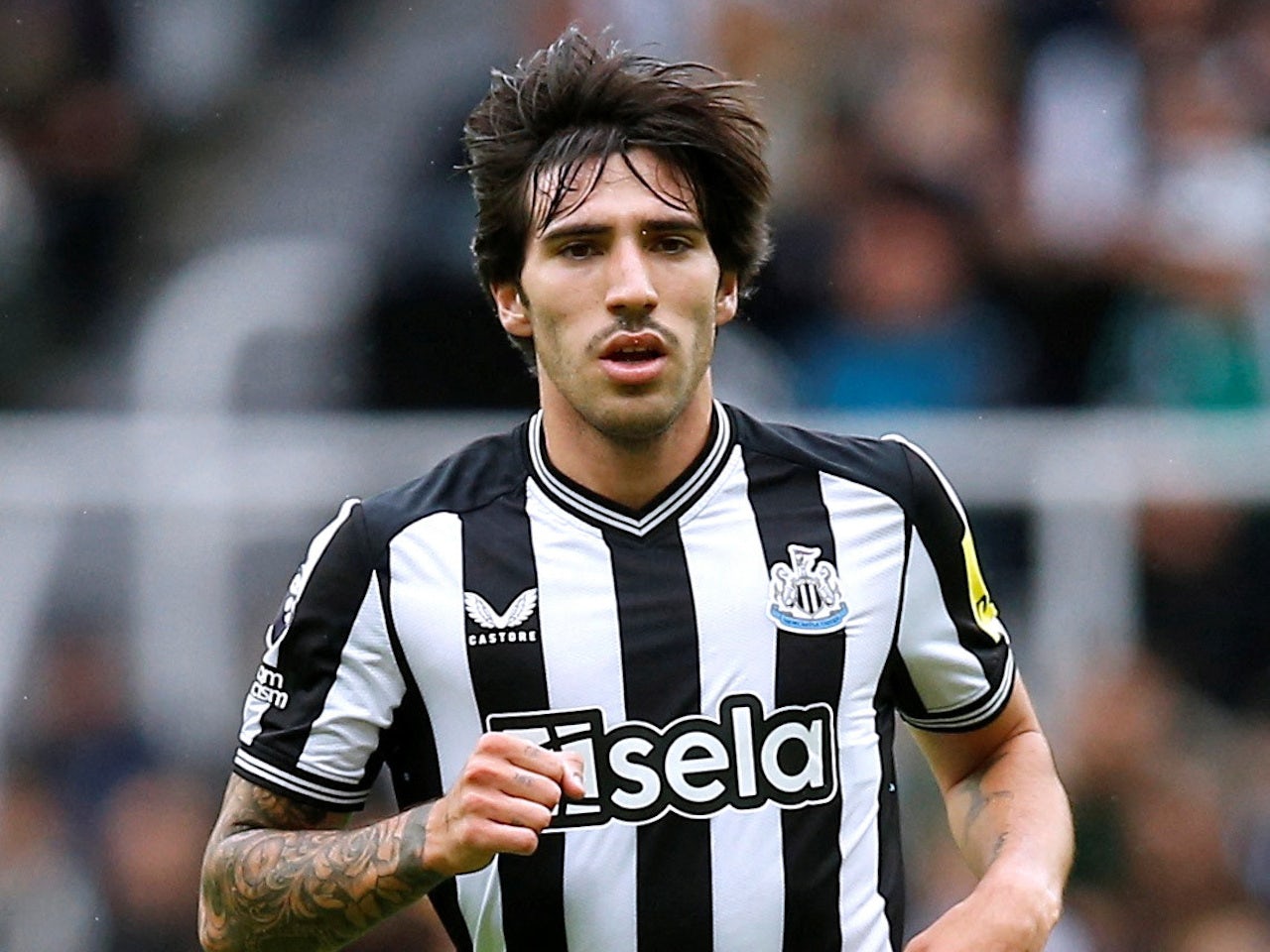 sandro-tonali.jpg