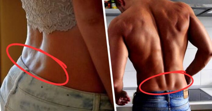 dimple-of-venus-holes-696x365.jpg