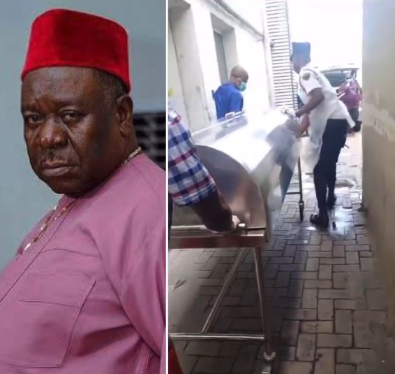 Mr Ibu