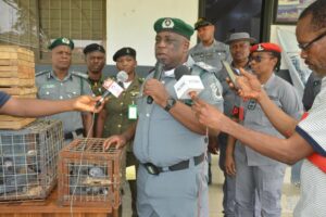 Customs-Intercepts-36-Live-Parrots-En-Route-Ghana.jpg