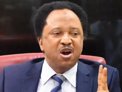 Economic-hardship-Dont-repeat-it-E28093-Shehu-Sani-warns-FCT.webp.jpg